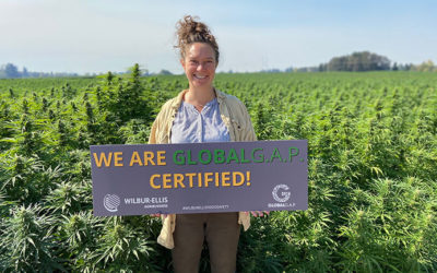 First Recognized GlobalG.A.P. Farm for Hemp